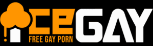 gay porno